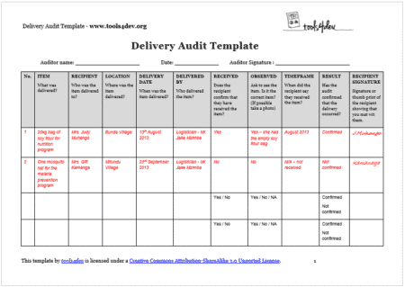 Delivery Audit Template screenshot