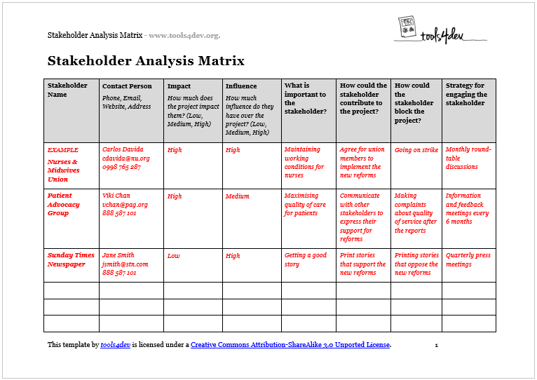 Stakeholder Analysis Matrix Screenshot 